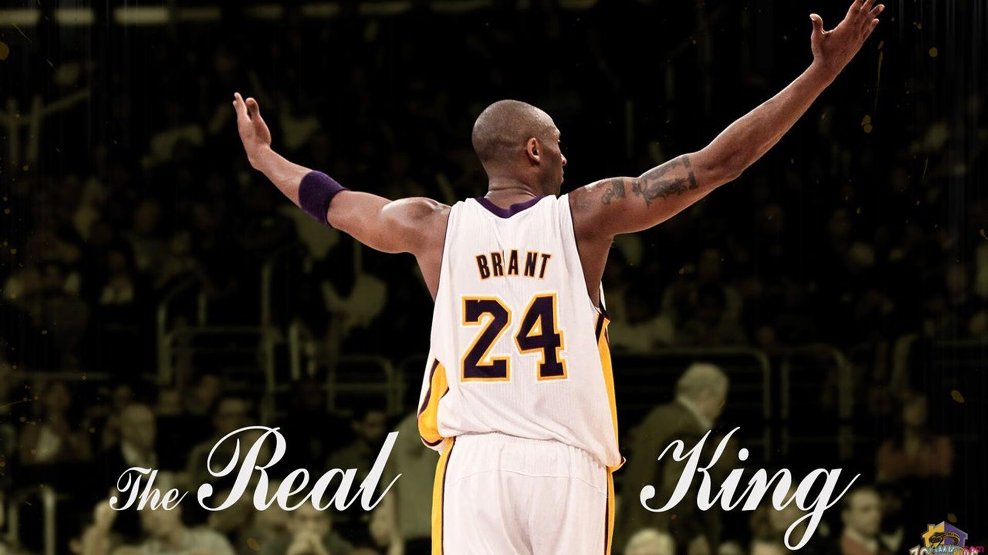 体育明星商业价值持续提升,体育明星商业价值开发研究