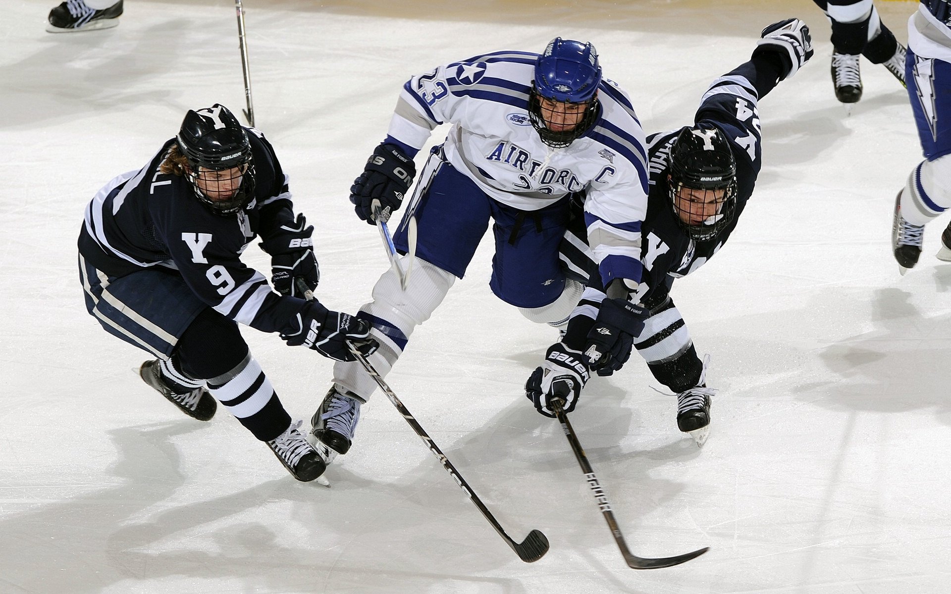 欧洲五大联赛冠军预测，欧洲五大联赛冠军预测结果